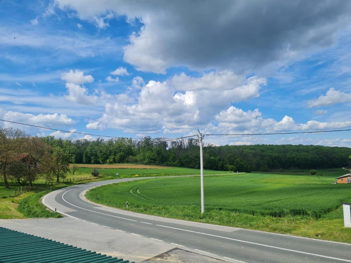 Apartman Ruzic Sveti Ivan Zabno Buitenkant foto