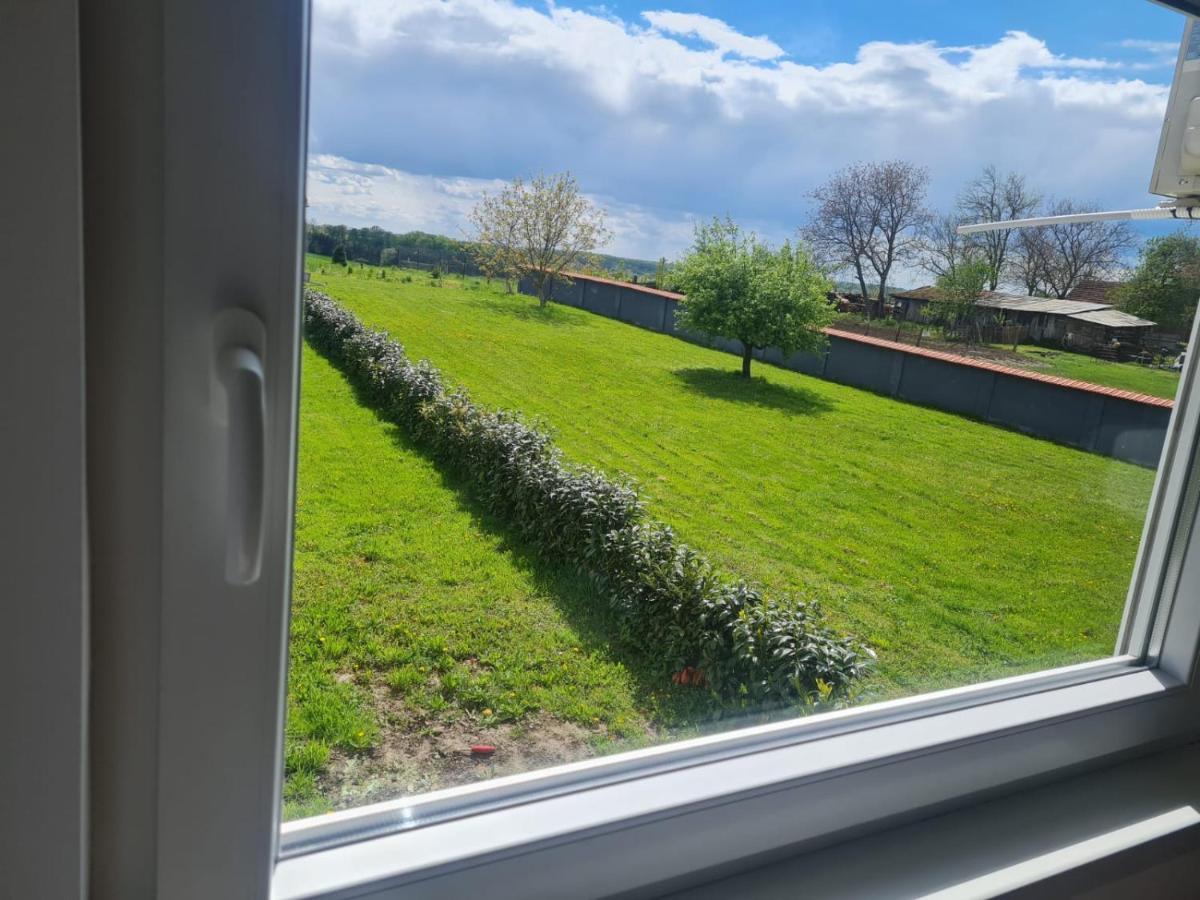 Apartman Ruzic Sveti Ivan Zabno Buitenkant foto